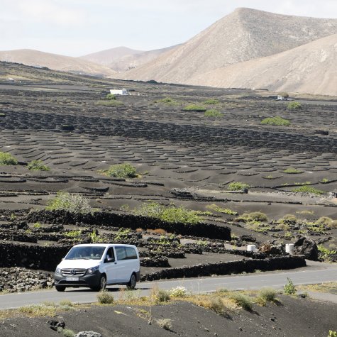 Circuit en 4x4: Saveurs de Lanzarote