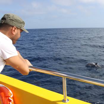  île  De Lobos Tour 