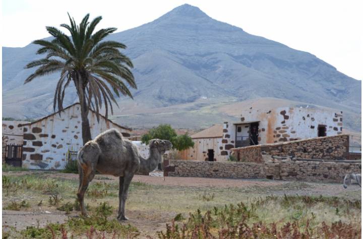 Fuerteventura Tour