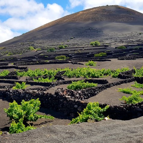 Circuit en 4x4: Saveurs de Lanzarote