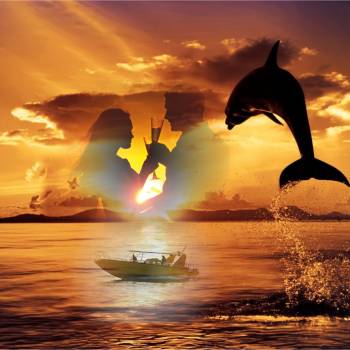 Le coucher du soleil & Dolphins 